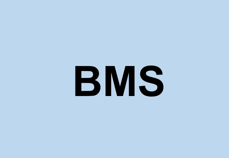 Was ist Battery Manage System(BMS)